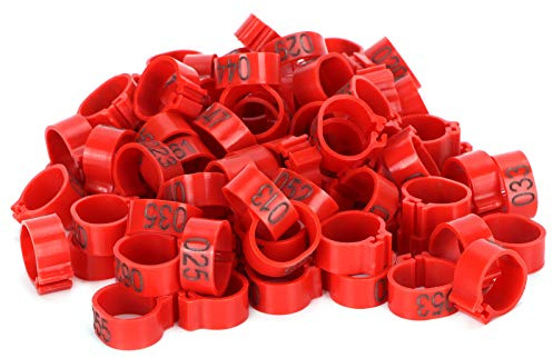 Pigeons Leg Ring Durable Numbered Plastic Foot Ring for Birds (12mm red ring with word)