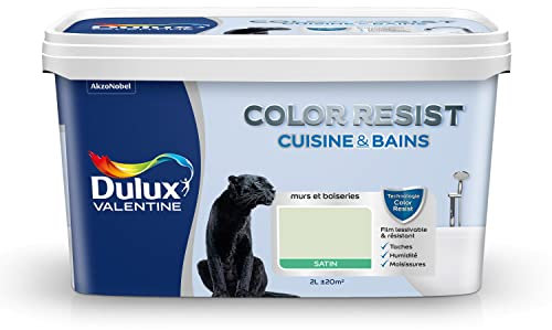 Dulux Valentine Color Resist - Peinture Intérieure Pièces Humides - Pour Murs, Plafonds, Boiseries - Lessivable et Résistante - Couleur : Tendrement Vert Satin - 2 L - 5261978