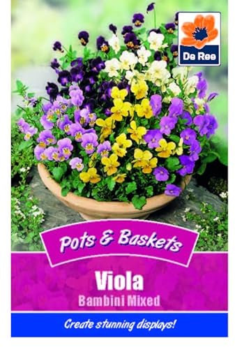 Flower Seeds Viola Bambini Mixed - 65 Seeds Packet Plant Bedding Borders Containers Pots Grow Your Own Garden Plant Seed