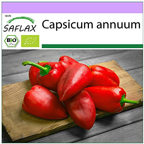SAFLAX - BIO - Piment - Barak - 15 graines - Capsicum annuum