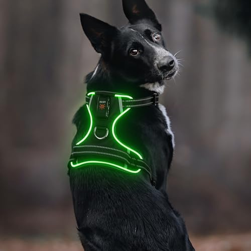 Pettorina luminosa per cani Colaseeme Light con strisce riflettenti e pettorina regolabile, luce LED ricaricabile per cani di taglia piccola, media e grande (RGB, M)