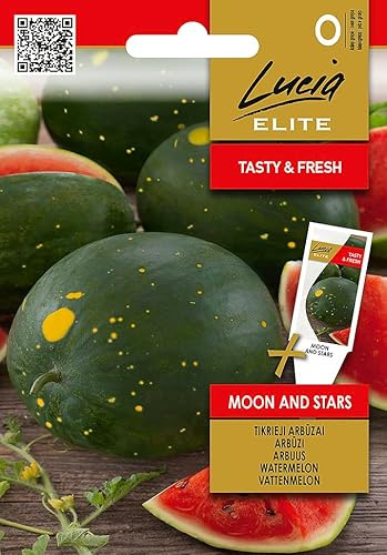 Lucia Elite | Sandía - MOON AND STARS Semillas de huerto | Frutos rojos dulces jugosos manchas amarillas | Para jardín e invernadero | Semillas de sandía | 1 sobre