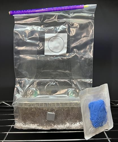 Simplici-kit MycoBox XL Kit de culture de champignons, capacité 1200 ml, style hollandais