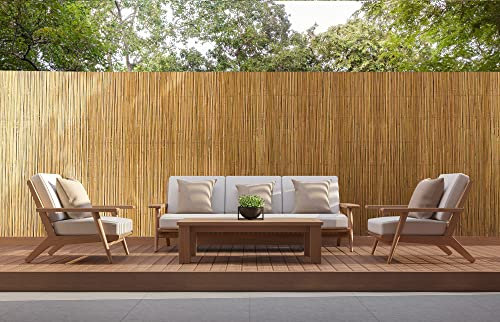 IlGruppone Arella in bambù per Recinzioni Stuoia Canne di Bamboo Frangivento Frangivista Naturale Giardini Balconi Schermo Privacy Ombreggiante - Naturale - 2x3 M