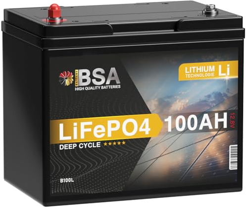 BSA LiFePO4 100Ah 12V Mini Lithium Batterie Wohnmobil Akku mit BMS Solarbatterie Solar Boot