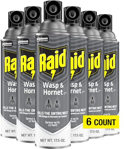 Raid Wasp and Hornet Killer Multi-Packs 17.5 Ounce (Pack of 6)