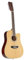Red Hill AF-8 12-String Elektroakustische Westerngitarre mit Cutaway und Tonabnehmersystem, Dreadnought-Bauform