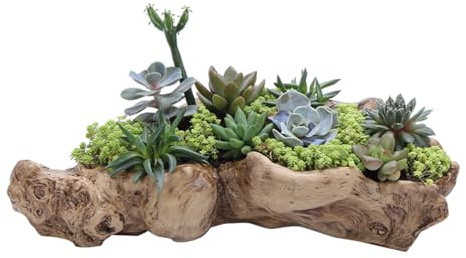 DOITOOL Adornos de madera flotante, decoración del hogar, escultura de raíz de árbol, escultura de maceta, escultura de madera flotante, escultura de mesa, maceta, maceta, suculenta, cactus,