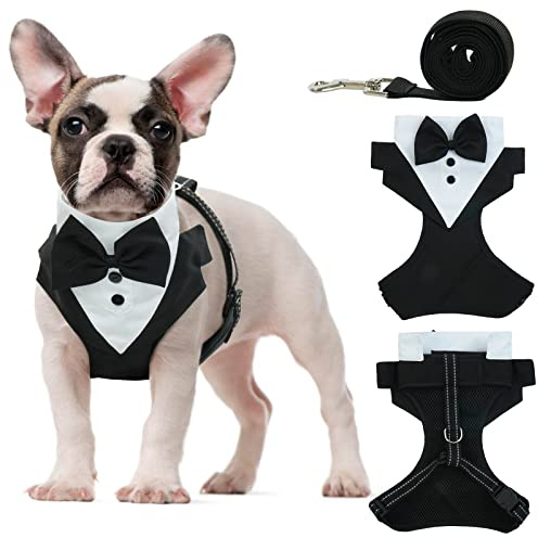 OUOBOB Harnais de smoking pour chien anti-traction avec laisse, costume de mariage réglable avec nœud papillon pour chiens de petite et moyenne taille, anniversaire, marche (noir S)
