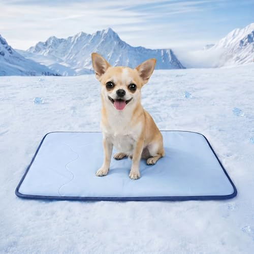 Deconovo Tappetino Rinfrescante per Cani e Gatti 50x40 cm, Tappeto Fresco Double Face con Tessuto Cooling e Morbida Spugna, Trapuntato e Lavabile, Materassino Estivo per Cuccia, Divano e Auto, Blu