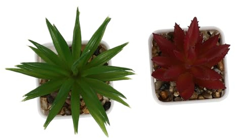Ciieeo 2pcs Artificial Succulent Plants Fake Bonsai Adornment for Desk Decoration, Made of Sturdy Pvc, Not Easy to Deform or Fade, Suitable for Study Rooms and Coffee Tables