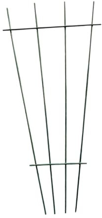 pistro Enrejado en forma de abanico para plantas trepadoras, interior y exterior, soporte para flores, soporte para verduras, rosas, vides, plantas en maceta