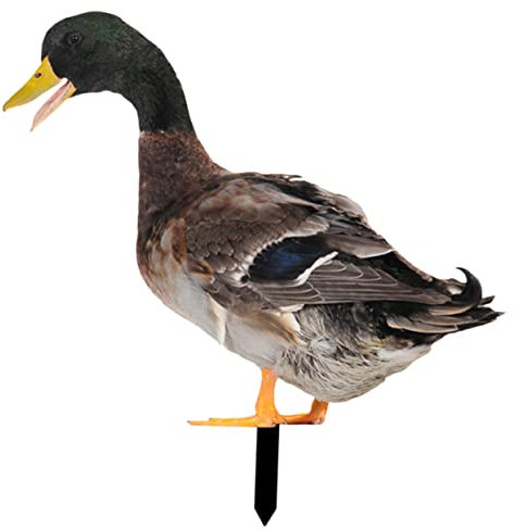 TOYANDONA Décoration de Jardin Acrylique Piquet Inséré Au Sol Forme de Canard Réaliste pour Extérieur et Aménagement Paysager