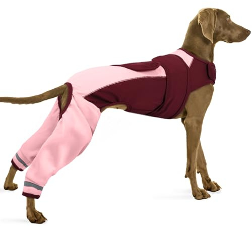 PUMYPOREITY Tuta Post Operatoria Cane, Body Post Operatorio Femmina Tutore Cane Zampe Posteriori Manicotto Post Intervento Body Chirurgico(Rosa, M)