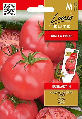 Lucia Elite | TOMATE ROSELADY H des Graines | Graines de Légumes | Graines de Plantes | Graines de Jardin | Une variété hybride mi-précoce et semi-naine | Tomates roses très savoureuses | 1 Paquet