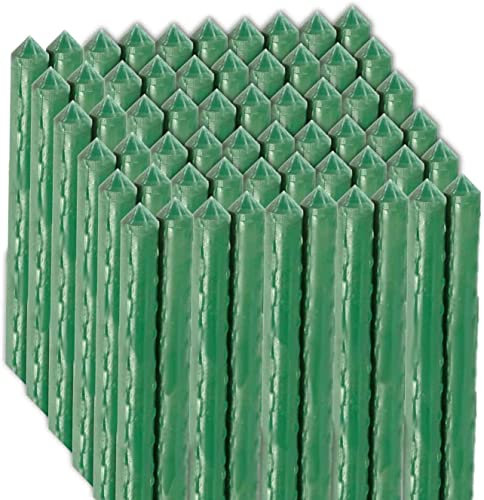 AC – Pack de 60 Tutores de Acero Plastificado para Plantas – Ideal para el Cuidado de Las Plantas – Varilla para el Cuidado de Las Plantas y Arboles – Tamaño a (Ø 1,6 x 120 cm)