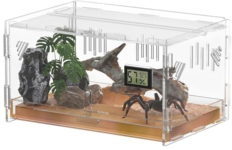 Giznzg Terrarium pour Reptiles avec hygromètre de température, 40x25x18cm boîte d'élevage en Acrylique pour Reptiles et Insectes à Domicile (Terrestrial Large)
