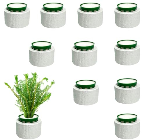 TTFdacai Juego de 10 anillos fijos para plantas acuáticas, anillos fijos de cerámica antiflotación, anillos fijos para plantas acuáticas, decoración de acuario, accesorios para peceras