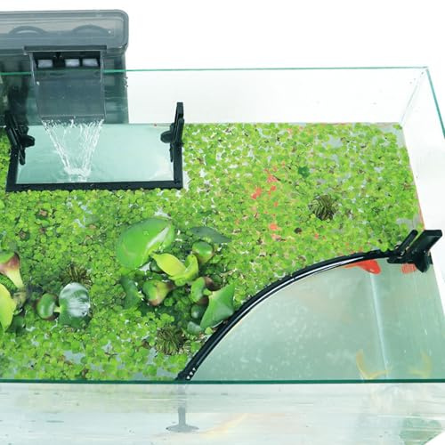 Corral De Plantas Flotantes, 1 Juego De Anillo De Alimentación De Peces, Barrera De Plantas Flotantes Separa El Corral, Acuario De Fácil Instalación, para Interceptar, Anillo De Alimentación De Acuar