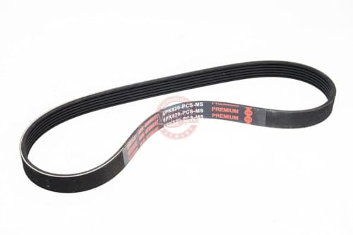 MASTER-SPORT Cinghia Poly-V 6PK820-PCS-MS per VW POLO (9N_)
