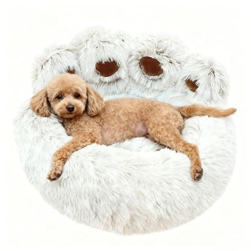 SHJOEE Lettino per Animali Domestici Letto Ortopedico per Gatti e Cani Cuccia Cane Interno Morbida e calda Adorabile cuccia per cani a forma di zampa d'orso di piccola e media (Caffè chiaro, 65cm)