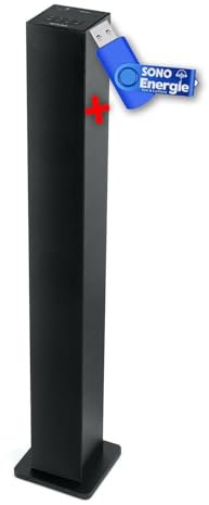 BMI Colonne HiFi, Muse M-1050 BT Enceinte d'intérieur Bluetooth USB 20W Noir+clé USB 32Go