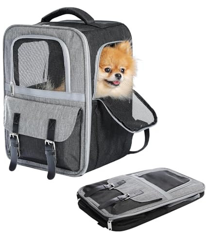 Purpurra Haustier Rucksack Katzenrucksack Hunderucksack, Tiertransporttasche für Kleine und Katzen Hunde bis 7 kg