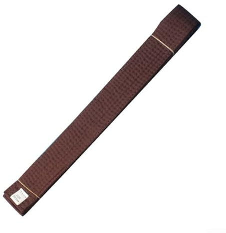 Cinturón de artes marciales de 280 cm x 4 cm para karate, judo, taekwondo, cinturón de rango de algodón y poliéster de doble capa para entrenamiento y competición de adultos (marrón)