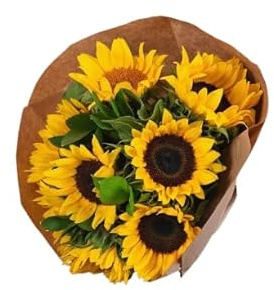 Bouquet de Girasoles Flores Amarillas Frescas con 10 Flores para Regalar en Cualquier Ocasión
