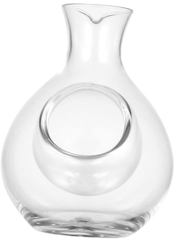 NUOBESTY Carafe à Vin Verre Cristal avec Cavité à Glace Décanteur Élégant pour Brandy Whisky et Liqueur Récipient de Refroidissement pour Bar et Dégustation