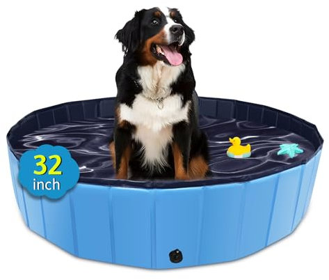 CACSPS Foldable Dog Pool, 32 x 8 Kiddie Pool with Hard Plastic, Non-Slip Dog Bath Tub for Outdoor Backyard, Collapsible Dog Swimming Pool for Kids Dogs Pets (Blue)