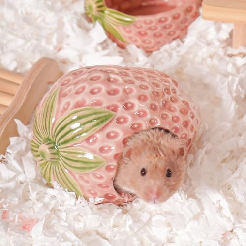 Zhilishu Ceramic Hamster Hideout, Strawberry Hamster House and Habitat, Syrian Hamster Hideout Decor Cool Bed for All Season Gerbil, Mice Guinea Pig