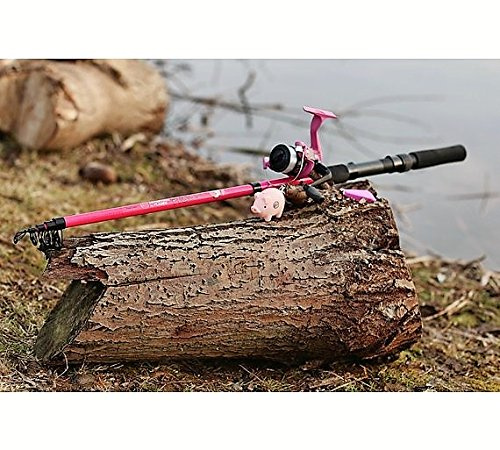 Matt Hayes Adventure Canne à pêche télescopique pour enfant avec moulinet Rose 1,8 m