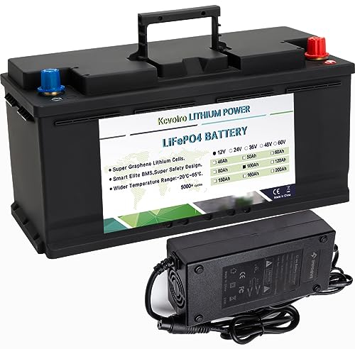 12 V 100 Ah LifePo4-Batterie,Autobatterien,bis zu 8000 tiefe Zyklen, LiFePo4 mit 100A BMS für Wohnwagen, Wohnmobile, Solar, Marine, Wohnmobile, Golfwagen, etc. Inklusive Ladegerät
