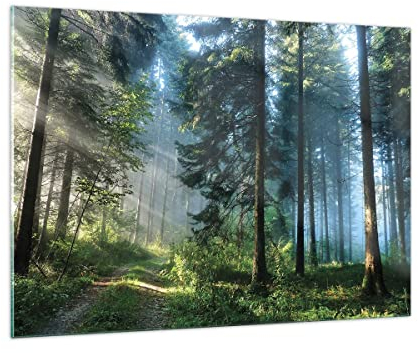 Vidrios decorativos 100x70cm Cuadro Sobre Vidrio Moderno Bosque Amanecer El Sol Grande Dormitorio Cocina Cuadros Pared Impresiones Decoracion Salon Impresión en Cristal Wall Art Prints GAA100x70-4398