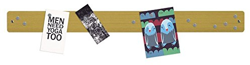 Magnetlist MAXI 710 x 64 mm, olika färger, inkl. 12 magneter – horisontellt eller vertikalt fäste, ädel design och enkel elegans, färger: guld