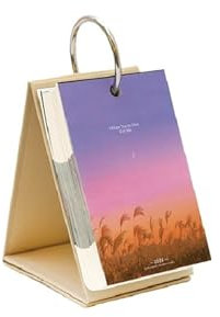 GLigeT Tischkalender 2024 – Katzenkalender 2024, Schreibtischkalender, Neujahr, 365 Tage, Countdown, Stehkalender, Lochkarten-Terminkalender (Color : B)