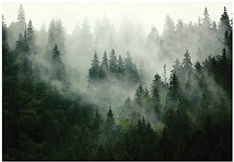 WallArena - Vlies Fototapete Wald Nebel Landschaft Grün Natur Bäume 368x254 cm - Fototapeten - Tapeten - für Wohnzimmer Schlafzimmer - Vliestapete Wandtapete Tapete 3D Effekt- inkl. Kleister
