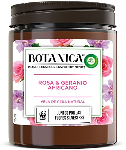 Botanica by Air Wick - Vela Aromática Perfumada, Ambientador Esencia Para Casa Con Aroma A Rosa y Geranio Africano - 205gr