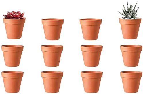 Ruikcoll Macetas de barro y arcilla, mini maceta de terracota con drenaje, reutilizable para interior y exterior, 10 unidades (4,5 × 4 cm)
