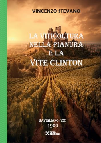LA VITICOLTURA NELLA PIANURA