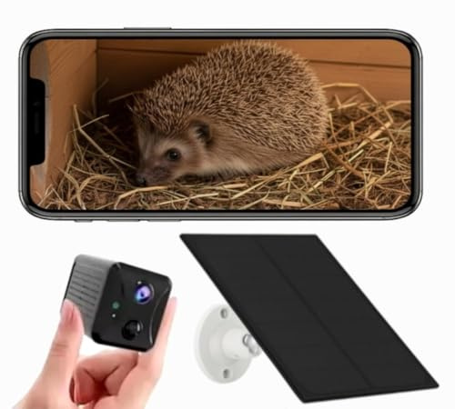 Solar Hedgehog House Camera with WiFi – Wireless HD Wildlife Camera with Night Vision | Live View Hedgehogs on Your Phone | Solar Powered HD Camera