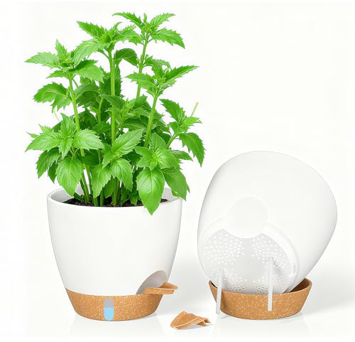 SenaiMy Set 2 vasi piccoli bianchi 20 cm, auto-irriganti con indicatore livello acqua e labbro irrigazione. Vasi in plastica per giardino, ufficio, davanzale, interni ed esterni