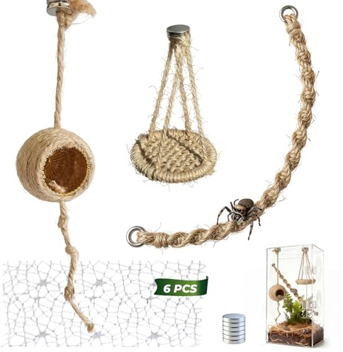 15 pcs Magnétique Araignées Accessoires, pour Araignée Sauteuse Explorer | Jute Verticale Hamac & Suspension Balançoire,Cachette araignées sauteuses,6 Filets Saut,Non inclus Terrarium