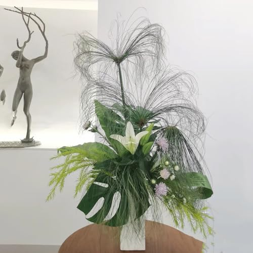 500 Pcs Papyrus Pflanze Samen, Zimmerpflanzen Groß, Grünpflanzen Zimmerpflanzen, Cyperus Papyrus, Pflanzen Deko, Winterharte Pflanzen Für Den Garten Balkonpflanzen Bio Saatgut Hydrokultur