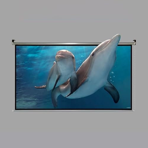 Schermo per Proiezione home cinema videoproiettore HD semplice e appendibile Manuale Telo Proiettore Avvolgibile, Tessuto in poliestere, per uso esterno ed interno, Bordo Nero Maschera(White fiberglas