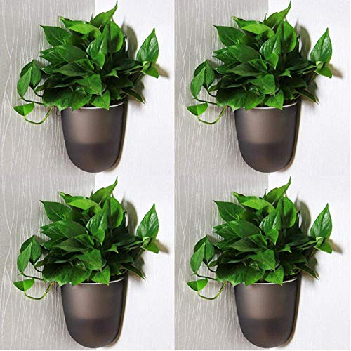 LTLCLZ 4 Stück Wandvasen Blumentopf 90 ° Winkel Wand Ecke Hängen Pflanzer Selbstbewässerung Blumentöpfe Montiert Vertikale Wandvase Sukkulenten Kaktus Pflanze Topf,Dark Gray