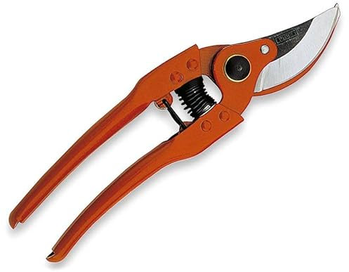 Ciseau à gazon professionnel