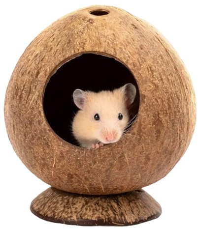 Casa Para Hámsters, Concha En Forma De Nuez De Coco | Transpirable Perforada De 5.3 Pulgadas 300 G | Cueva Para Animales Pequeños Con Base Estable Antivuelco Para Actividades De Rechinar De Los