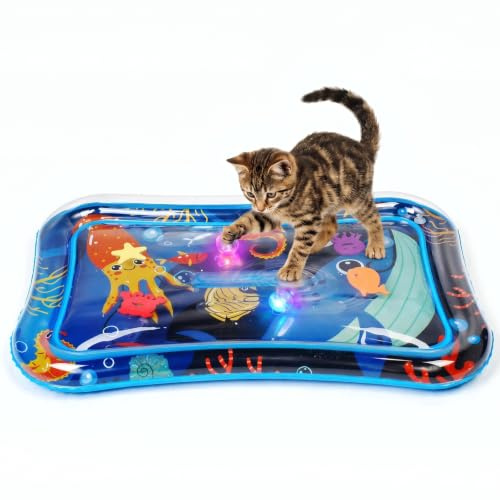 Supet kattkudde (rektangulär, 2)